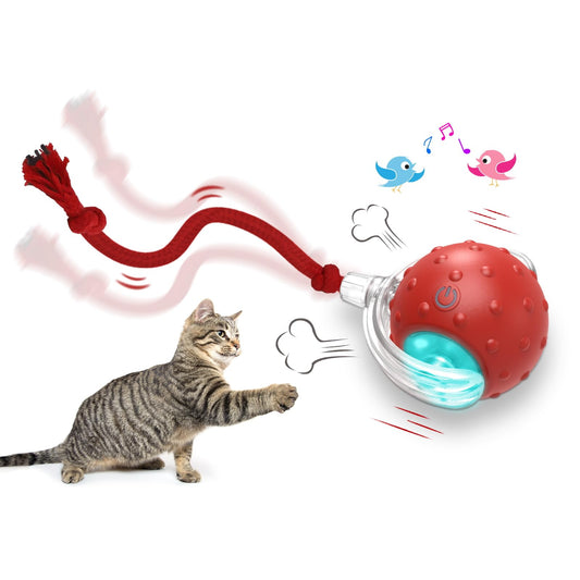 Interactive Fast-Rolling Indoor Cat Toy Ball